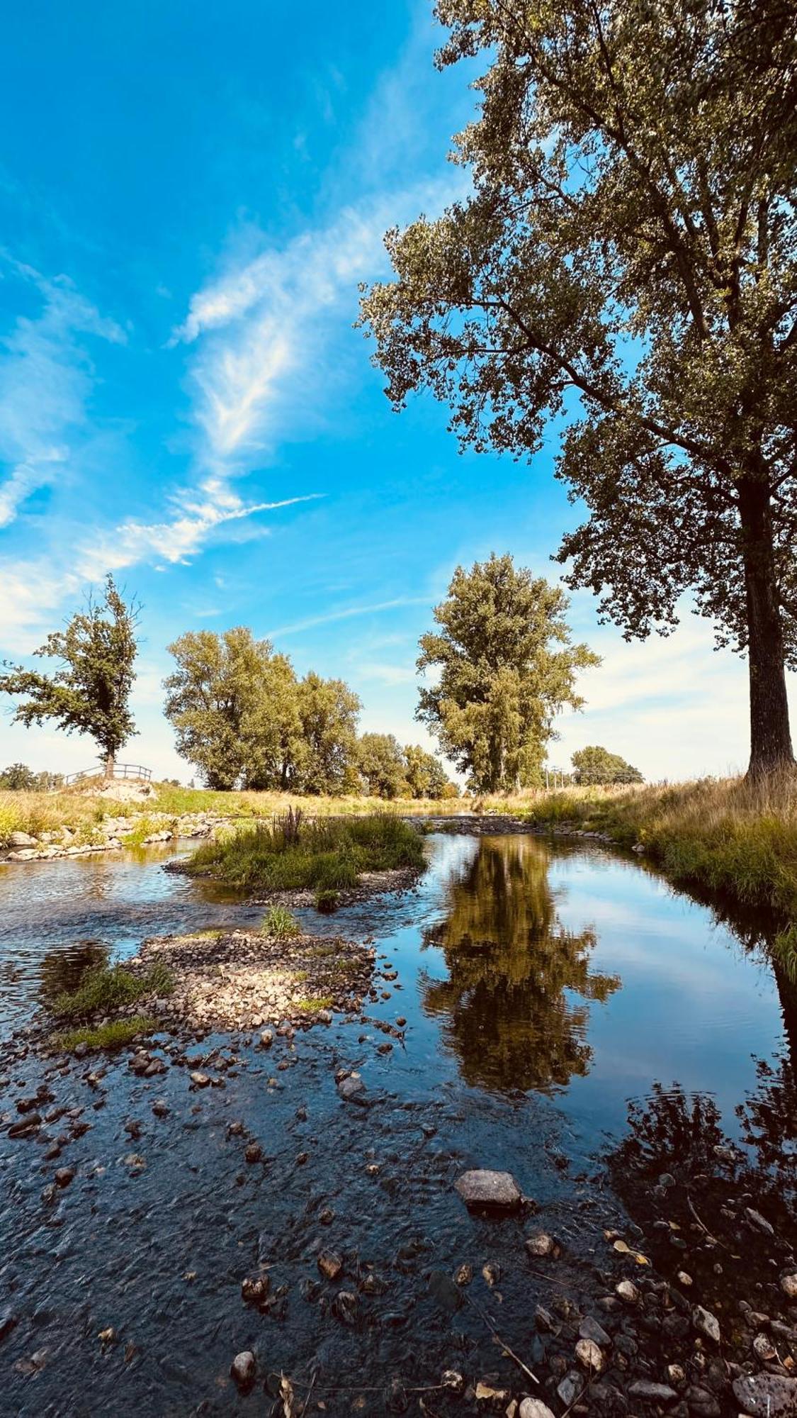 Apartment Mit Netflix - Parken - Kueche - Bad Weiden in der Oberpfalz Luaran gambar